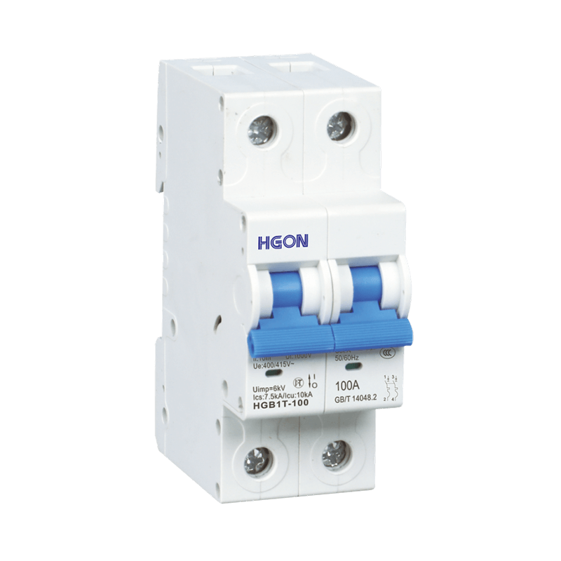 HGB1T-100 miniature circuit breaker